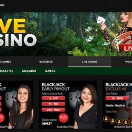 Wild Casino Gallery